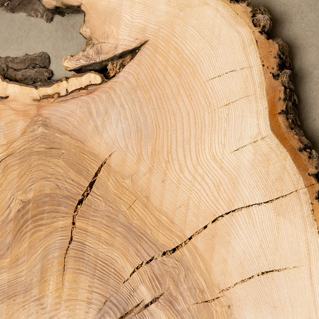 MM Fräsen: Hölzer für anspruchsvolle Projekte (Esche)